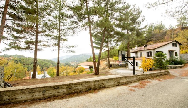 The Cosy Pine