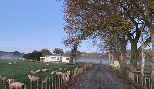The Cottage @ Aranui