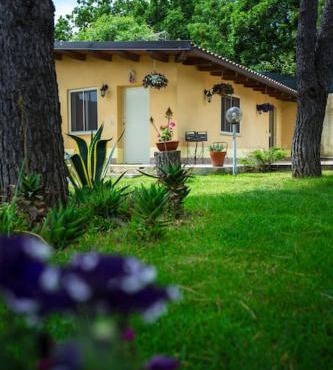 The Cottage