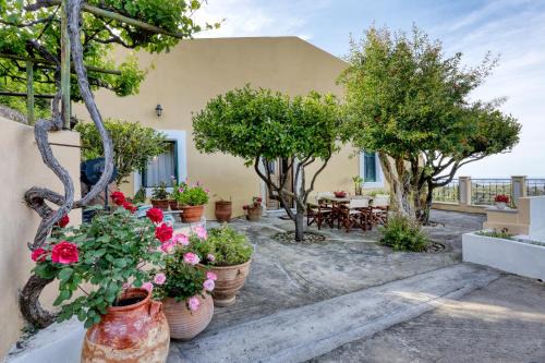 The Cretan Manor