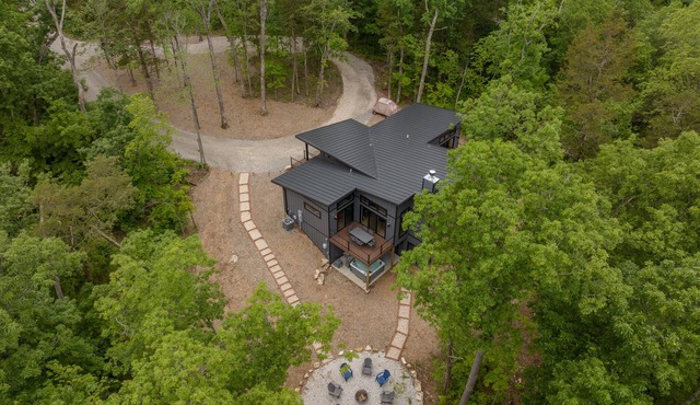 The Curated Treehouse by Innsbrook Vacations!