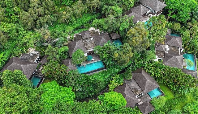 The Damai