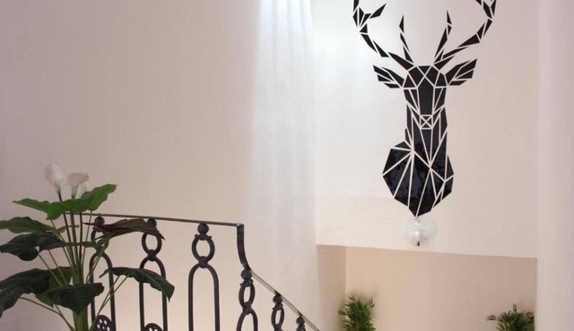 The Deer Oasis