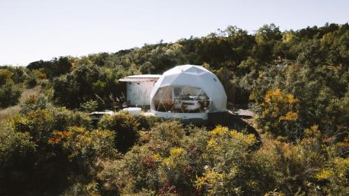 The Disco Domes