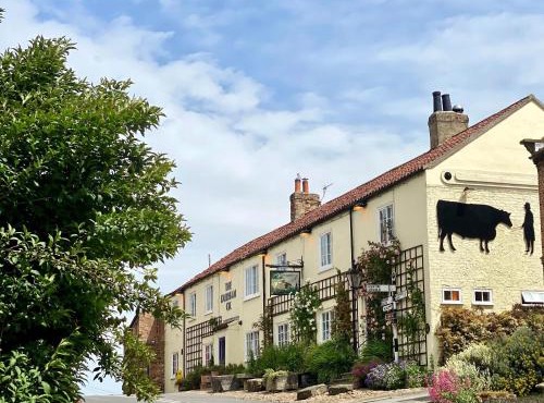 The Durham Ox