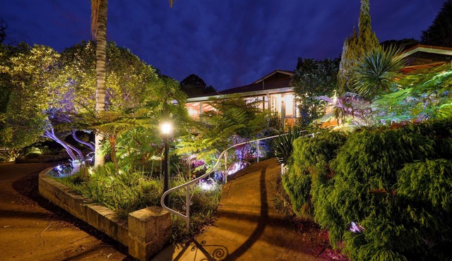 The Forest Studio Deluxe King Suite with Kitchen and Forest Hill Views