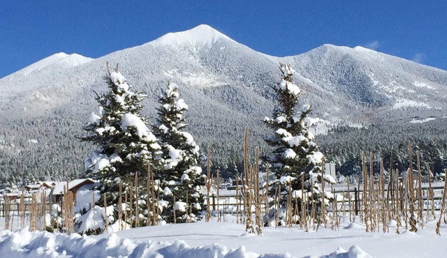 The Great Escape - experience the essence of Flagstaff at the base of Humphreys!