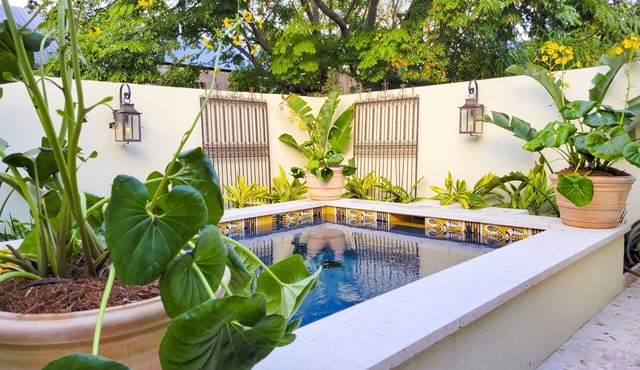 The Harlot House w Salt Pool/Spa, 5 bed 3 bath, walkable neighborhood w restaur