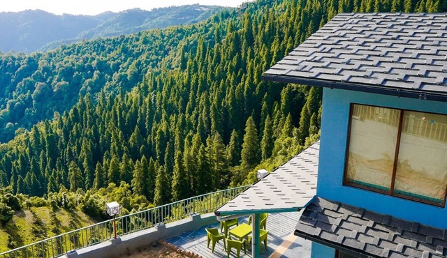 The Himalayan Deodar