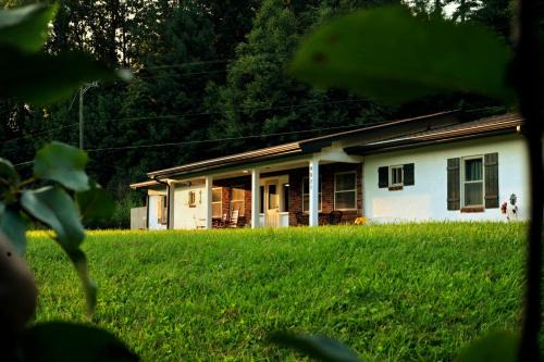 The Holler