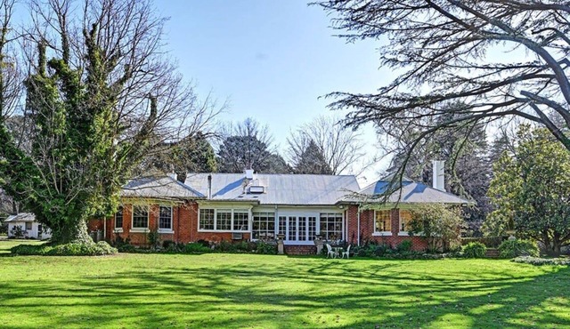 The Homestead - Mayfield Vineyard Orange