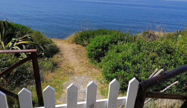 The House on the Clif