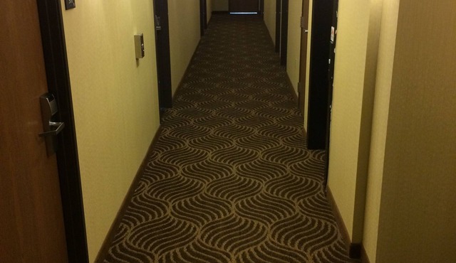 The Inn Forza