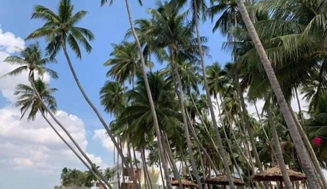 The Legend Coco Beach