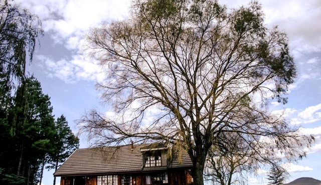 The Log Cabin at Elgin