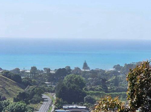 The Lookout