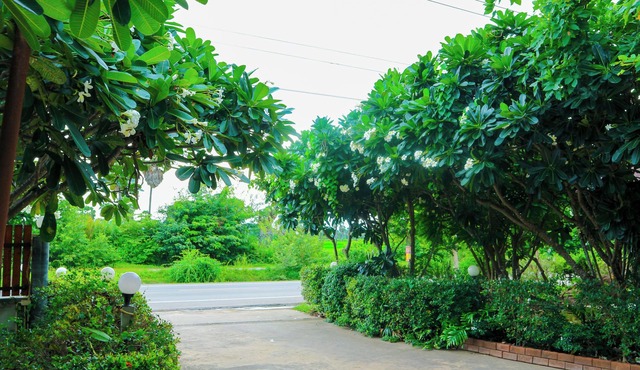 The Moon Resort Phetchaburi