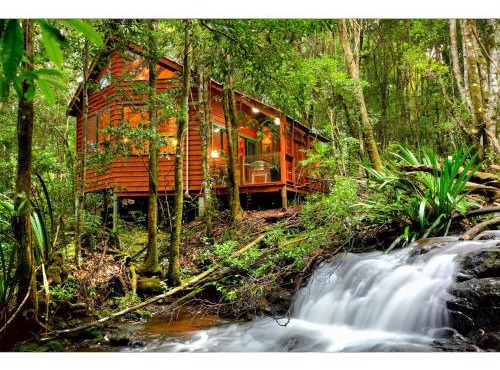 The Mouses House Rainforest Retreat