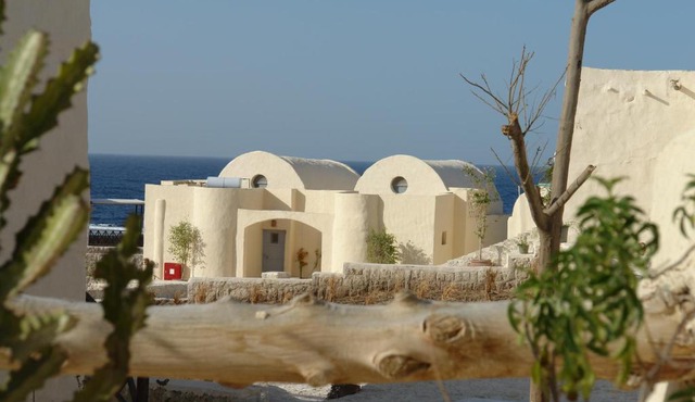 The Oasis