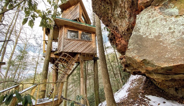 The Observatory Treehouse: To Infinity and Beyond!