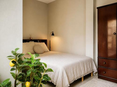 The Olive Studio - Stay with Locals in Zakros