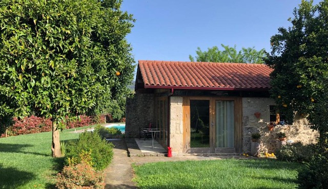 The Olive Tree Country Home