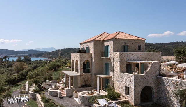 The Olive Yard