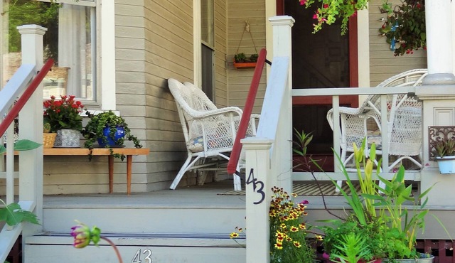 The One Cat B&B
