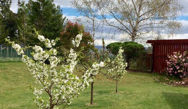 The Orchard Studio - charming, private and compact.