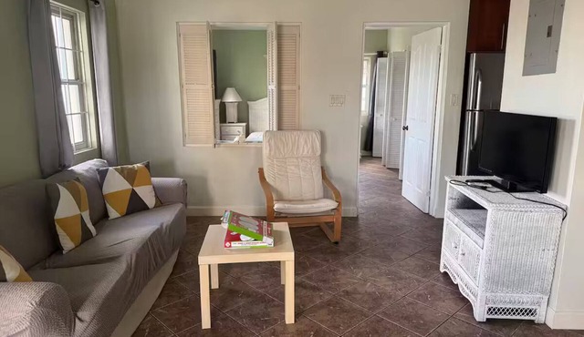 The Palms apt 1
