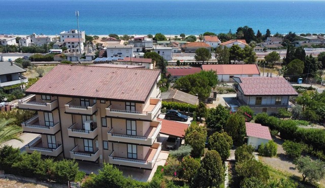 The Palms of Riace 1