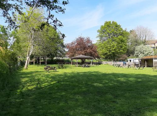 The Pear Tree
