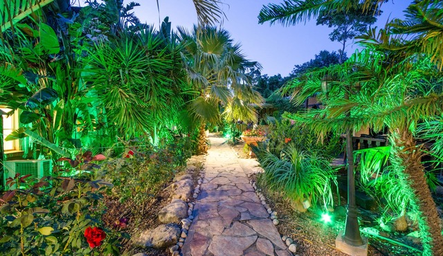 The Pearl of the Golan - Pnina BaGolan