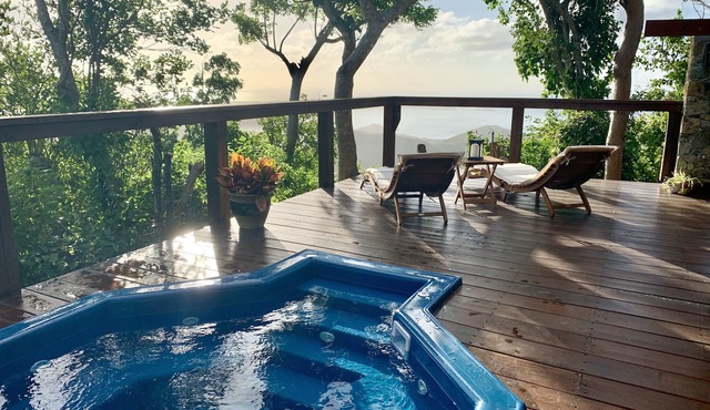 The Perch - A unique stay in a jungle paradise. A true tropical oasis.
