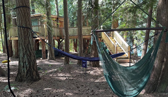 The Perch - Woodinville in the Woods