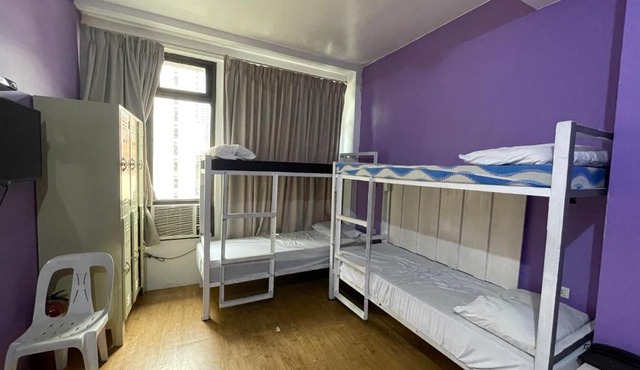 The Purple Tree Hostel