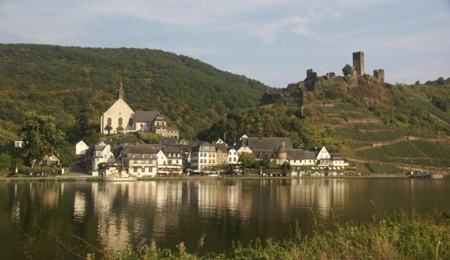 The Riesling Beilsteiner apartment - Ferienwohnungen MOSEL