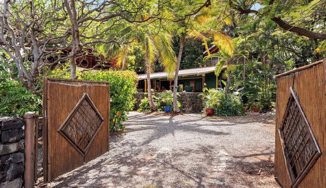 The Salty Jungle Kona
