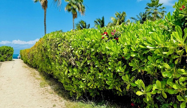The Seagate-Coconut Cabana.Walking distance to The Best snorkeling on Grace Bay
