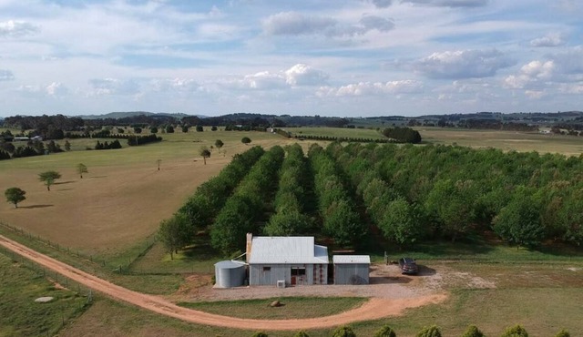 The Shack - Gorgeous Getaway for 2 on Truffle Farm
