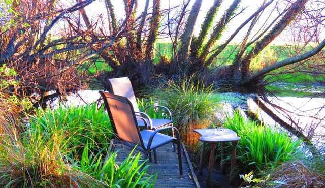 The Shady Rest B&B