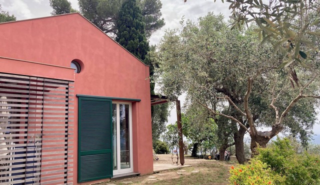 the silence among the olive trees, on a hill overlooking the sea