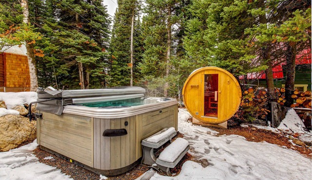 The Silverstrike mountain cabin with hot tub, in Brighton