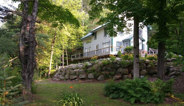 The solitude of the woods with civilization only 2 blocks away!