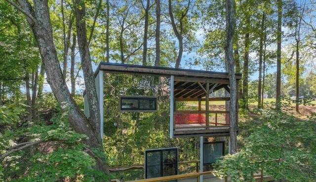 The Star Wars Treehouse