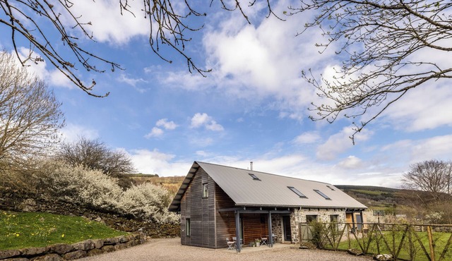The Steading