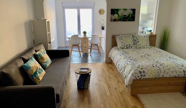 The Stopover, studio near Paris Roissy CDG Airport,Disneyland,Asterix,Exposition