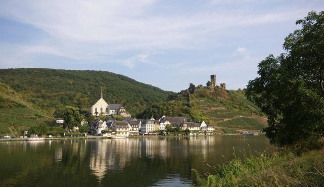 The Studio Apartment Dornfelder Beilsteiner - Apartments MOSEL