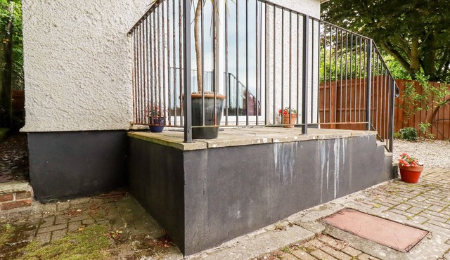 The Studio