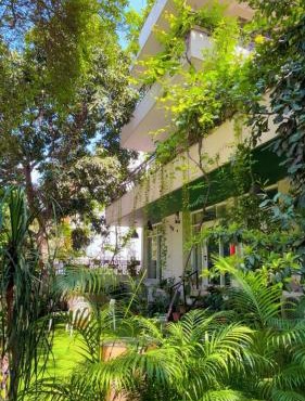 The Studio Terrace Apartment